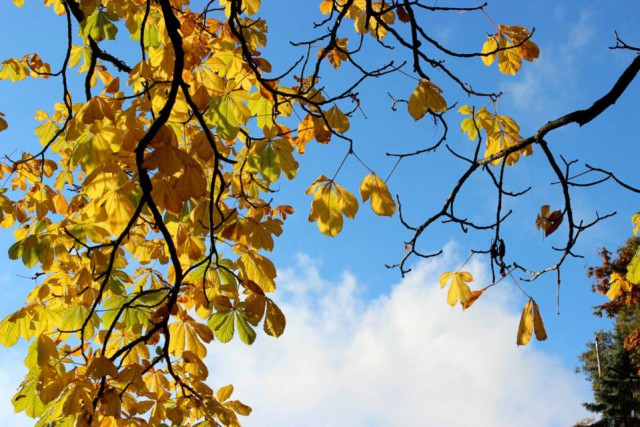 1374290_3403413102222_1537703645_n