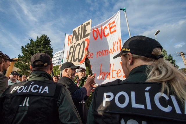 14087737_946190898836684_15334147_o