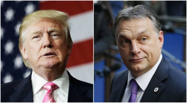 trump_orban