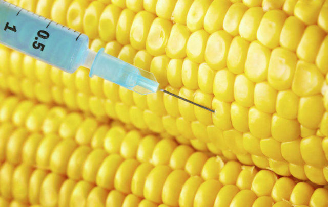 509D686C-B95C-4ED3-8BD2-68E1B446B20C