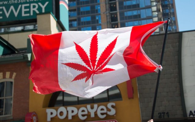 užívanie marihuany je v kanade už legálne 1