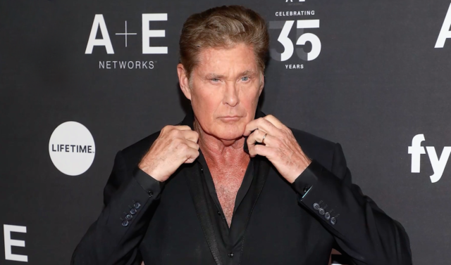 david_hasselhoff