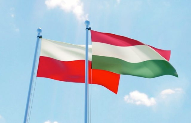 polsko_madarsko_vlajky