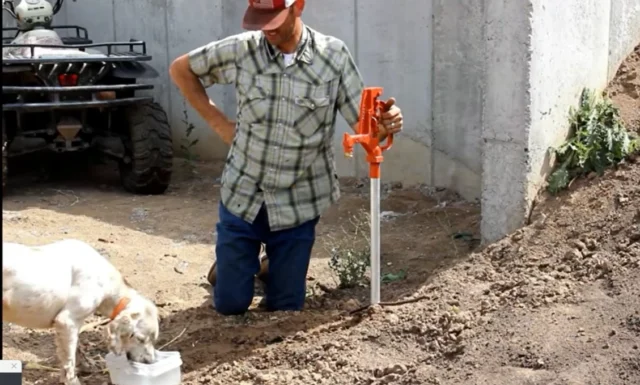 slovensko-vysycha-uroda-hori-videofoto-1129x680